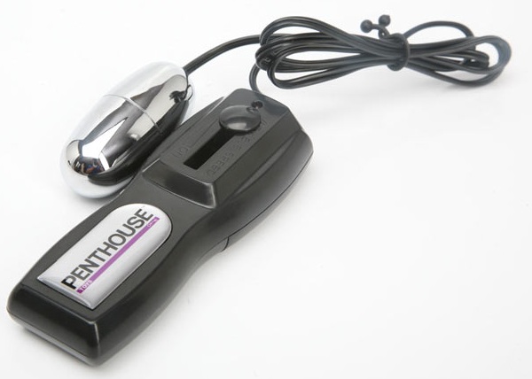 Вагина и анус с вибрацией Jenna Rose Vibrating CyberSkin Pet Pussy Ass - фото 132488