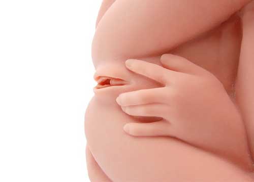 Реалистичный торс-девушка Hera 3 с тремя тугими отверстиями, вибрацией, ротацией и голосом - фото 133248