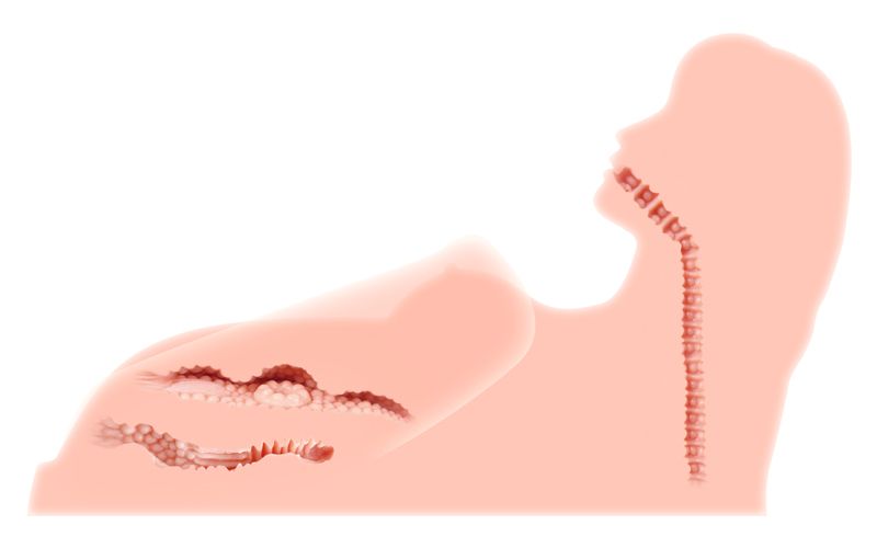 Реалистичный торс-девушка Hera 3 с тремя тугими отверстиями, вибрацией, ротацией и голосом - фото 133251