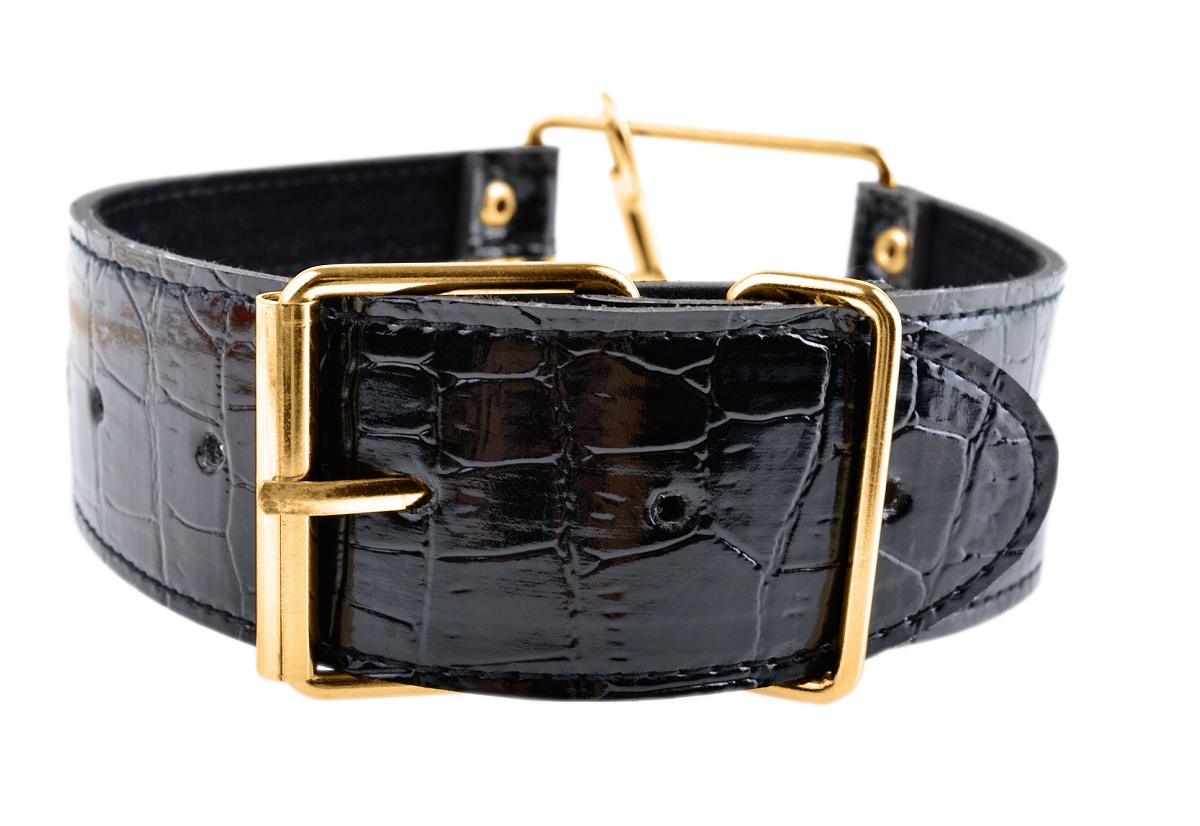 Ошейник с поводком Collar Leash - фото 134250