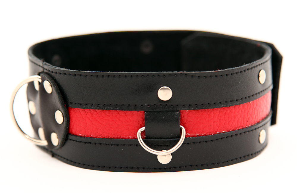 Чёрный ошейник с красной полосой - фото 136449 Чёрный ошейник с красной полосой - фото 136449