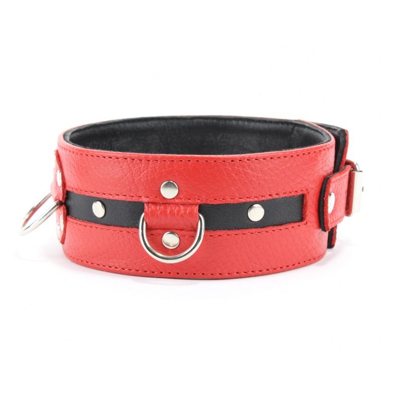 Красный ошейник с клёпками и чёрной полосой - фото 137212