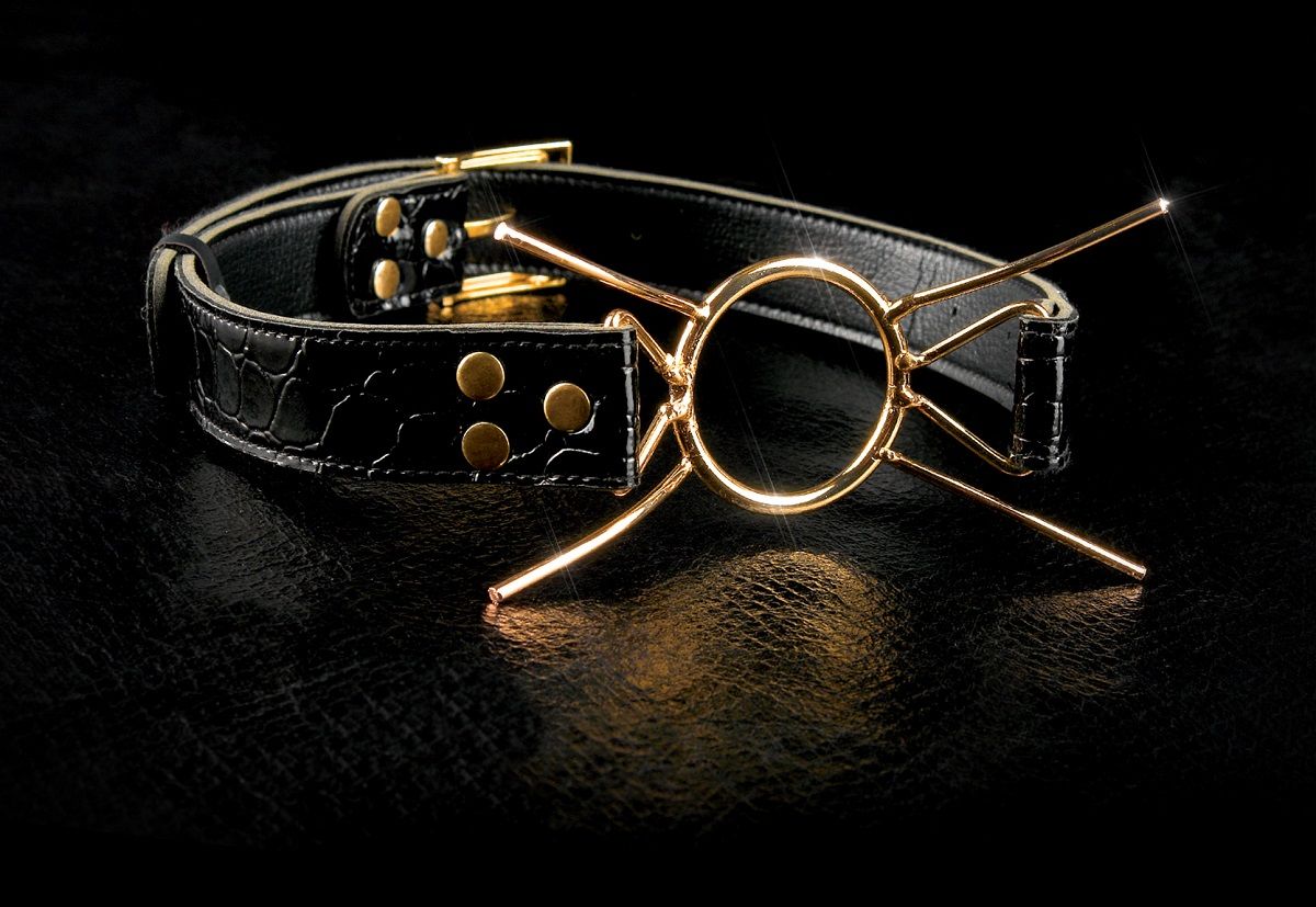 Золотистый расширитель для рта Gold Deluxe Spider Gag - фото 137261