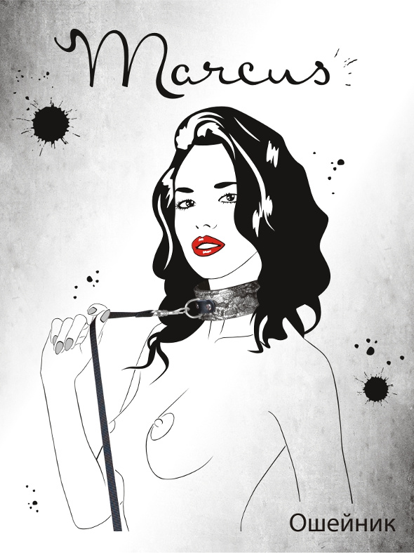 Серебристый кружевной ошейник - фото 137571