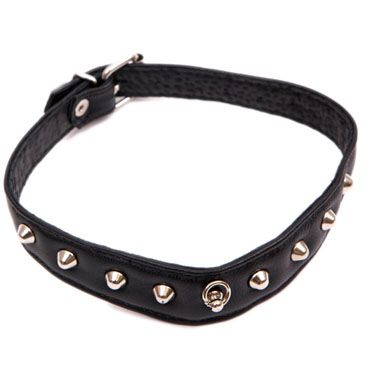 Узенький кожаный ошейник с заклёпками - фото 137706 Узенький кожаный ошейник с заклёпками - фото 137706