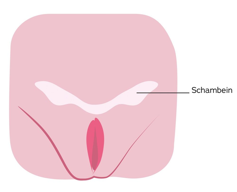 Мастурбатор-вагина CyberSkin Pussy with Virtual Pubic Bone Light - фото 138315 Мастурбатор-вагина CyberSkin Pussy with Virtual Pubic Bone Light - фото 138315