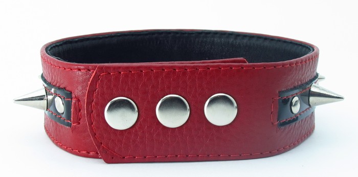 Узкий красно-черный ошейник с шипами - фото 139415 Узкий красно-черный ошейник с шипами - фото 139415