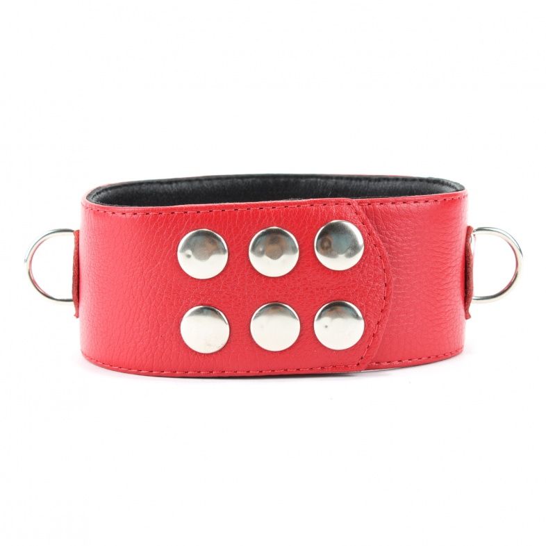Красный кожаный ошейник с короткими шипами - фото 139570 Красный кожаный ошейник с короткими шипами - фото 139570