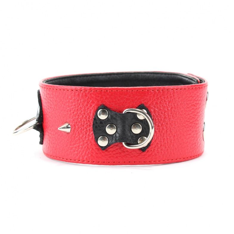 Красно-черный ошейник с шипами - фото 139572 Красно-черный ошейник с шипами - фото 139572