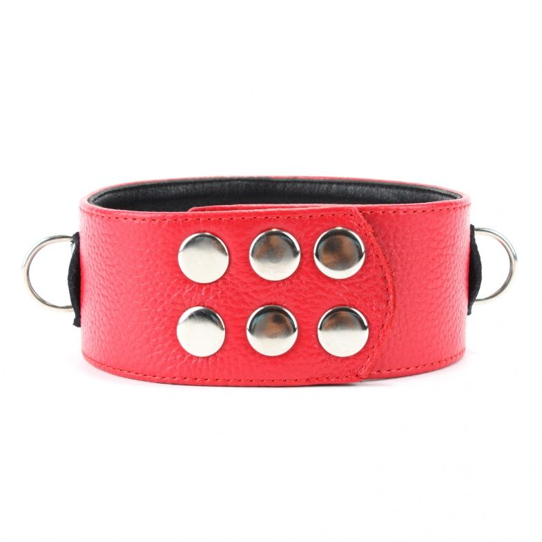 Красно-черный ошейник с шипами - фото 139573 Красно-черный ошейник с шипами - фото 139573