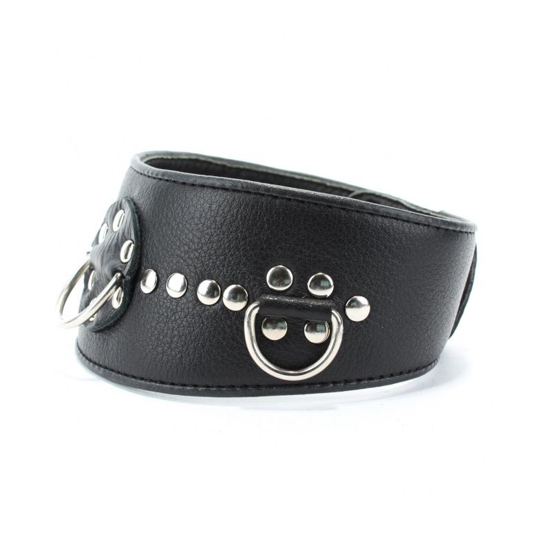 Чёрный кожаный ошейник с полукольцами и клёпками - фото 141974 Чёрный кожаный ошейник с полукольцами и клёпками - фото 141974