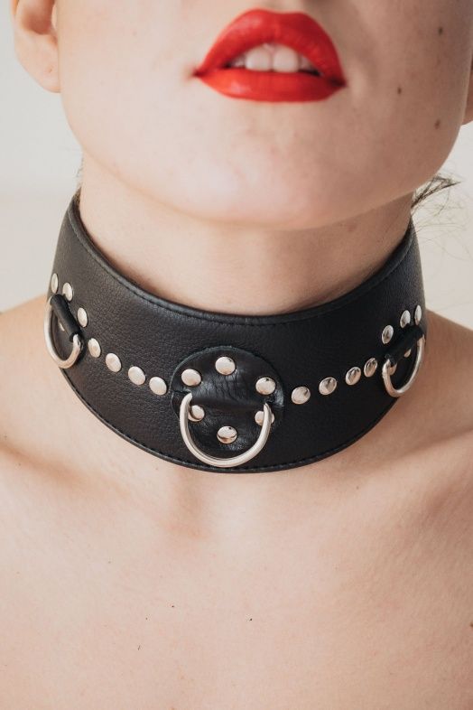 Чёрный кожаный ошейник с полукольцами и клёпками - фото 141975 Чёрный кожаный ошейник с полукольцами и клёпками - фото 141975