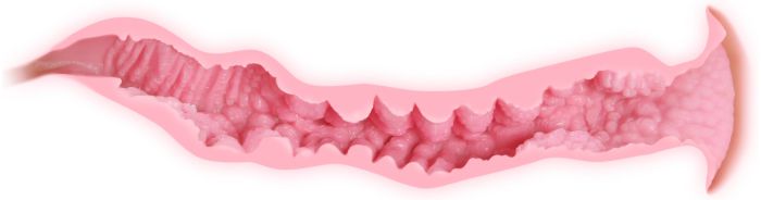 Мастурбатор Veronia с двумя упругими отверстиями для любви без вибрации - фото 143086