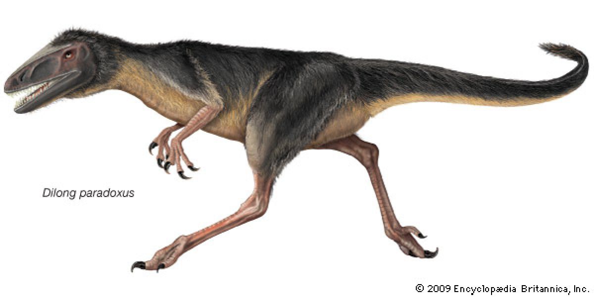 Фаллоимитатор Dilong - 25 см. - фото 143162 Фаллоимитатор Dilong - 25 см. - фото 143162