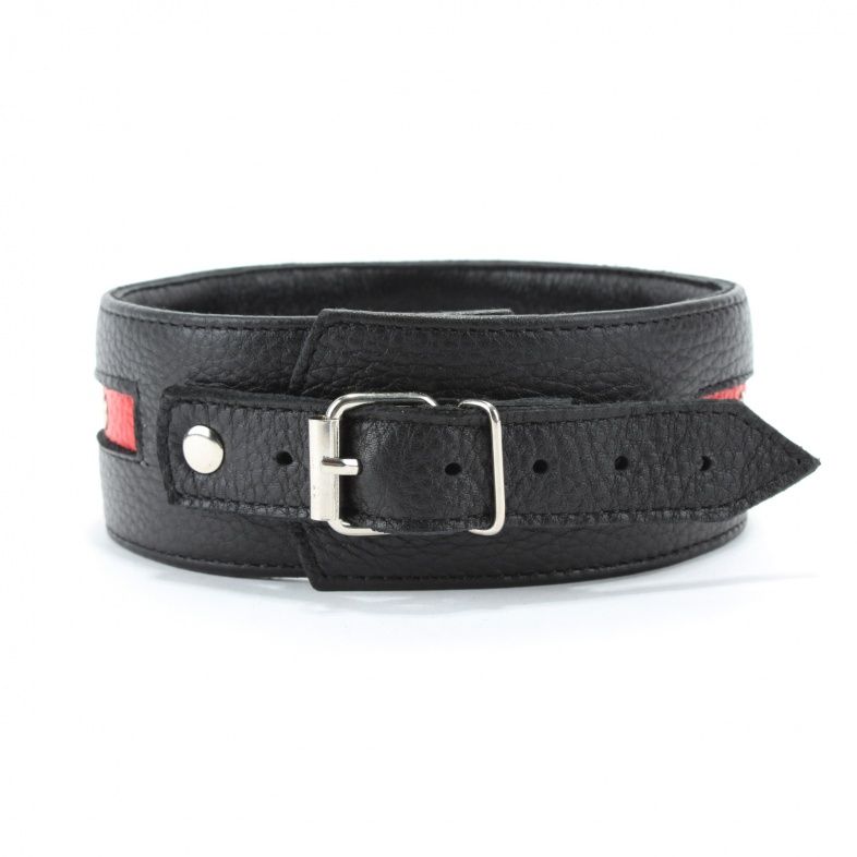 Черно-красный ошейник на пряжке - фото 143953 Черно-красный ошейник на пряжке - фото 143953