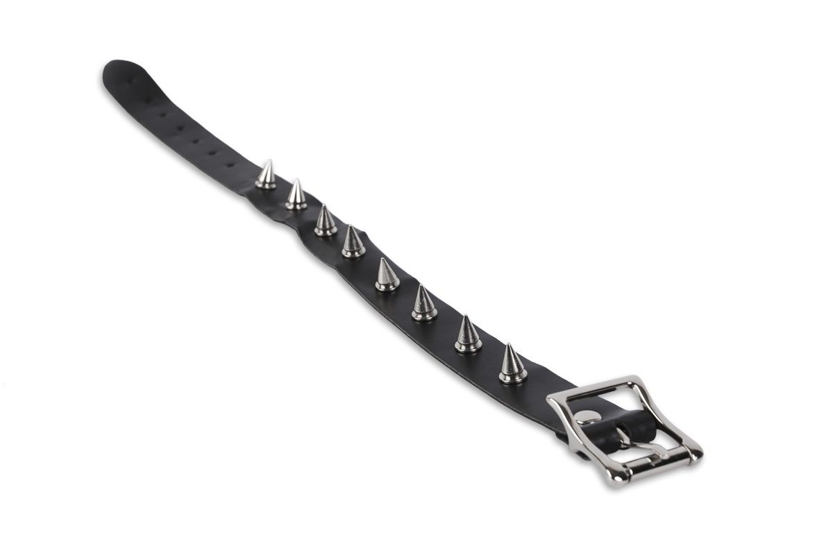 Узкий ошейник с шипами - фото 147441 Узкий ошейник с шипами - фото 147441