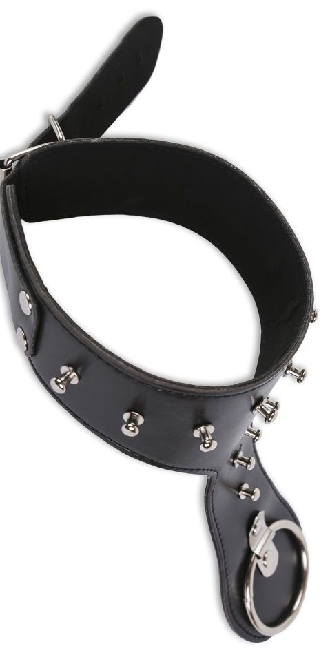 Удлинённый ошейник с кольцом - фото 147488 Удлинённый ошейник с кольцом - фото 147488