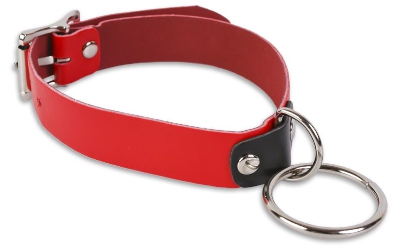 Красный ошейник с колечком - фото 147508