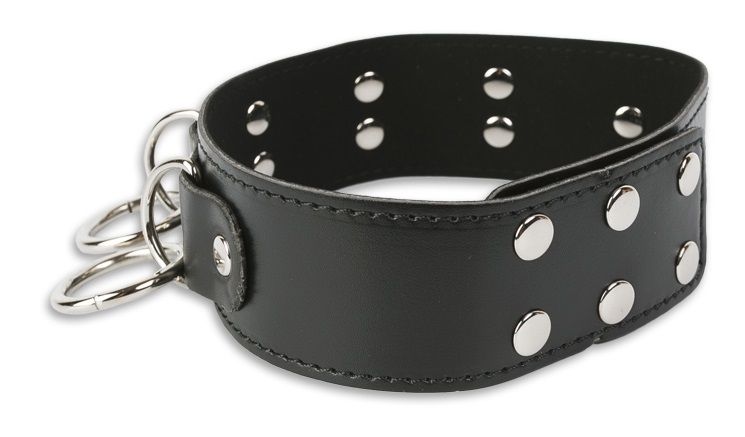 Брутальный ошейник с кольцами - фото 147516 Брутальный ошейник с кольцами - фото 147516
