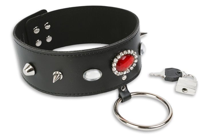 Дизайнерский ошейник с шипами и кольцом - фото 147549 Дизайнерский ошейник с шипами и кольцом - фото 147549
