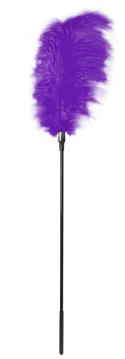Стек с большим фиолетовым пером Large Feather Tickler - 65 см. - фото 157040