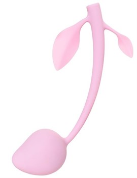 {{photo.Alt || photo.Description || 'Розовый вагинальный шарик BERRY'}}