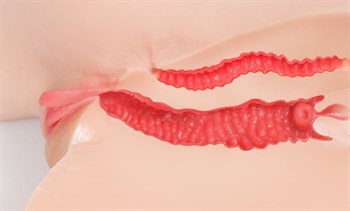 Мастурбатор-полуторс с двойным слоем материала Maria Onahole Real Vagina