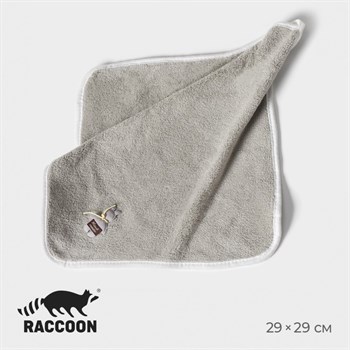 {{productViewItem.photos[photoViewList.activeNavIndex].Alt || productViewItem.photos[photoViewList.activeNavIndex].Description || 'Серая салфетка для уборки Raccoon (29х29 см)'}}