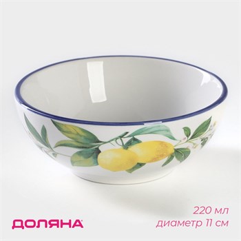 {{productViewItem.photos[photoViewList.activeNavIndex].Alt || productViewItem.photos[photoViewList.activeNavIndex].Description || 'Миска Доляна «Лимон», 220 мл'}}