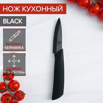 {{productViewItem.photos[photoViewList.activeNavIndex].Alt || productViewItem.photos[photoViewList.activeNavIndex].Description || 'Черный керамический нож Magistro Black'}}