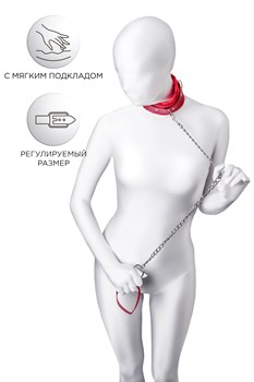 {{photo.Alt || photo.Description || 'Красный ошейник с подкладкой из меха'}}