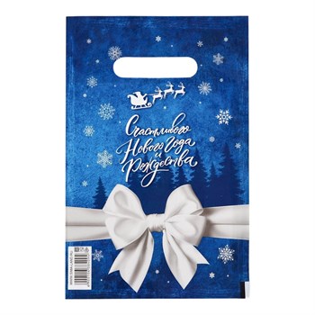 Сине-белый подарочный новогодний пакет с вырубной ручкой (20х30 см) 529973