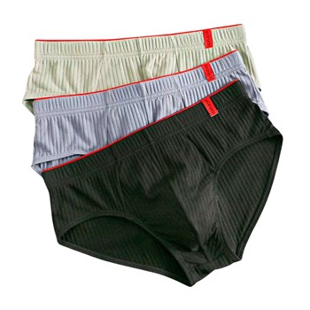 {{photo.Alt || photo.Description || 'Набор из 3 мужских трусов-брифов из ткани в рубчик'}}