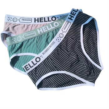 {{photo.Alt || photo.Description || 'Набор из 3 мужских трусов-брифов в тонкую полоску'}}