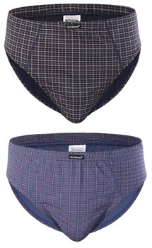 {{photo.Alt || photo.Description || 'Комплект из двух клетчатых трусов-слипов plus size'}}