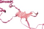 Розовый клиторальный стимулятор Sex Butterfly - фото 130342