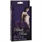 Шарики Black Rose - Ben Wa Balls - Purple - фото 241741 Шарики Black Rose - Ben Wa Balls - Purple - фото 241741