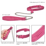Розовый ошейник с поводком Tickle Me Pink Collar With Leash - фото 163509