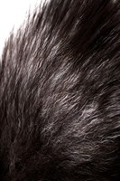 Черная силиконовая анальная втулка с хвостом чернобурой лисы - размер S - фото 1365094
