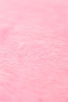 Набор розового цвета для ролевых игр в стиле БДСМ Nasty Girl - фото 172387