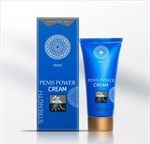 Возбуждающий крем для мужчин Penis Power Cream - 30 мл. 158073