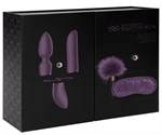 Фиолетовый эротический набор Pleasure Kit №4 - фото 174183