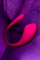 Розовое виброяйцо Lovense Lush 3 - фото 1323551