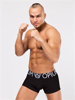 Мужские боксеры с широкой модной брендированной резинкой 244742