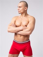 Мужские боксеры из мягкого хлопкового трикотажа с резинкой в полоску 244775