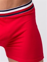 Мужские боксеры из мягкого хлопкового трикотажа с резинкой в полоску 244775