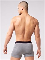 Мужские боксеры из мягкого хлопкового трикотажа 244798