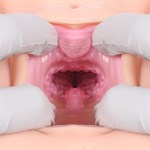 Мастурбатор Victoria с вагиной и анусом без вибрации  - фото 141228