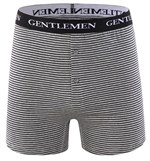 Хлопковые трусы-боксеры с тонкой полоской и брендированной резинкой 317627