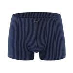 Удобные мужские боксеры в полоску 317853